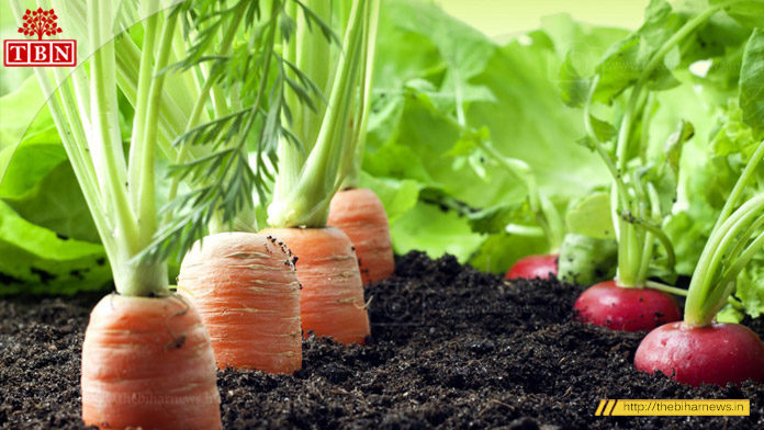 organic-farming-patna-bhagalpur-road-the-bihar-news